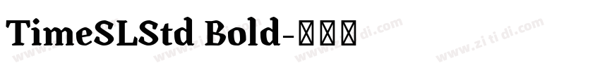 TimeSLStd Bold字体转换